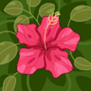 Meet your Posher, Jillian